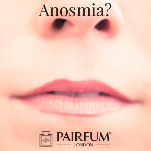Woman Nose Perfume Anosmia Scent
