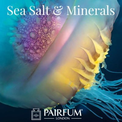 Outdoor Photgrapher Year Perfume Sea Salt Water Minerals Pier Mane