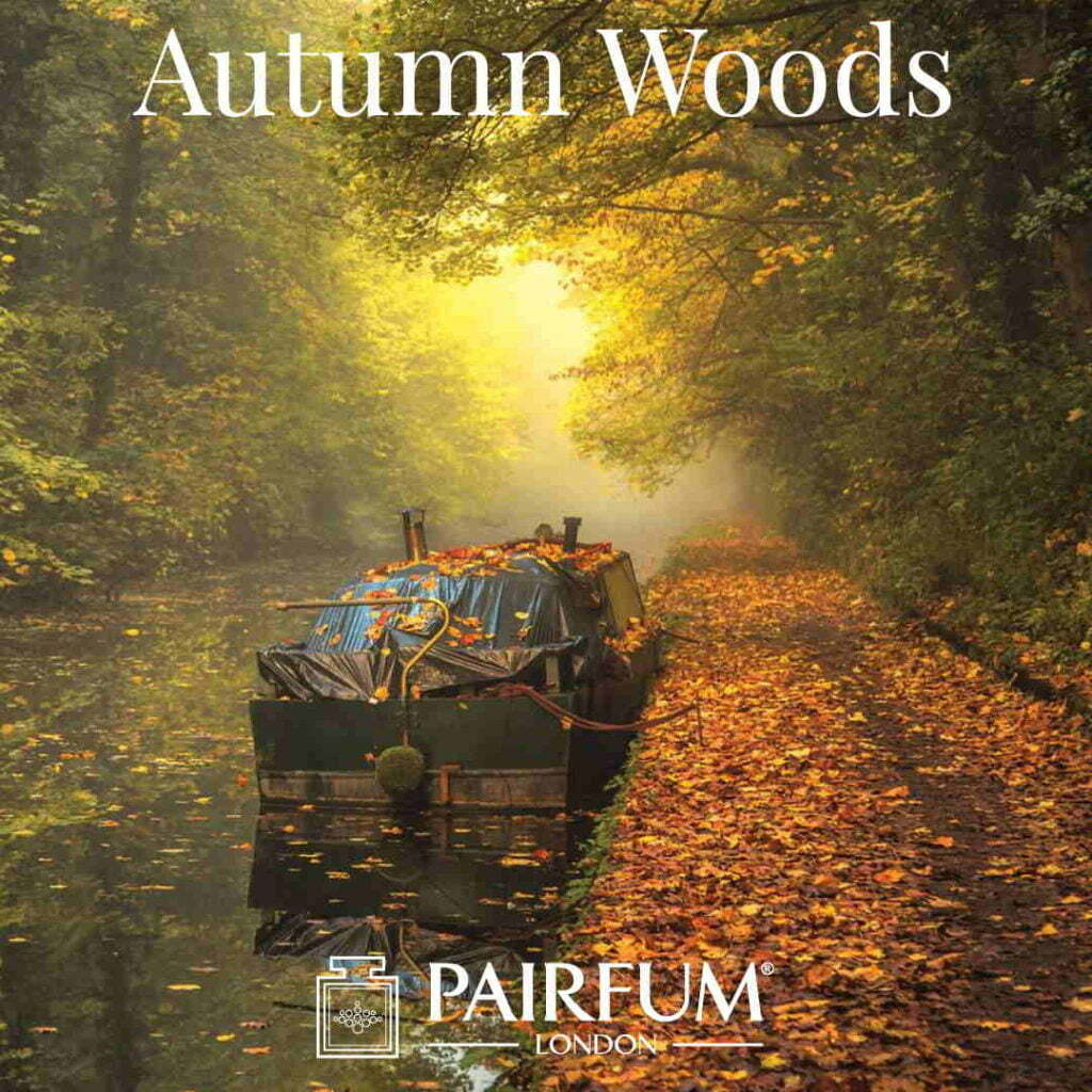 Outdoor Photgrapher Year Fragrance Autumn Wood Canal Chris Fletcher