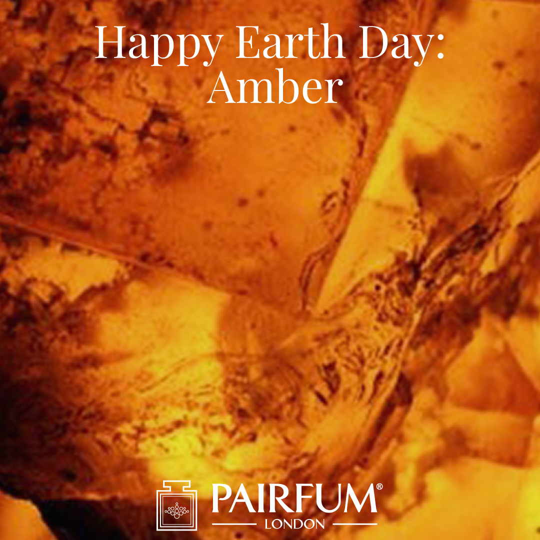 Happy Earth Day Amber Perfumery Goup