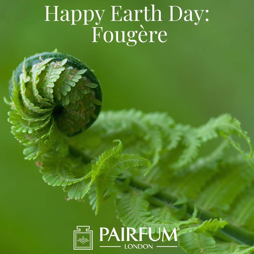 Happy Earth Day Fougere Perfumery Accord