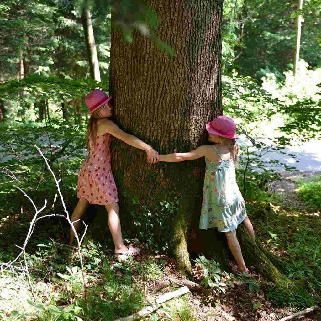 Kates Garden Tree Hugging By Children