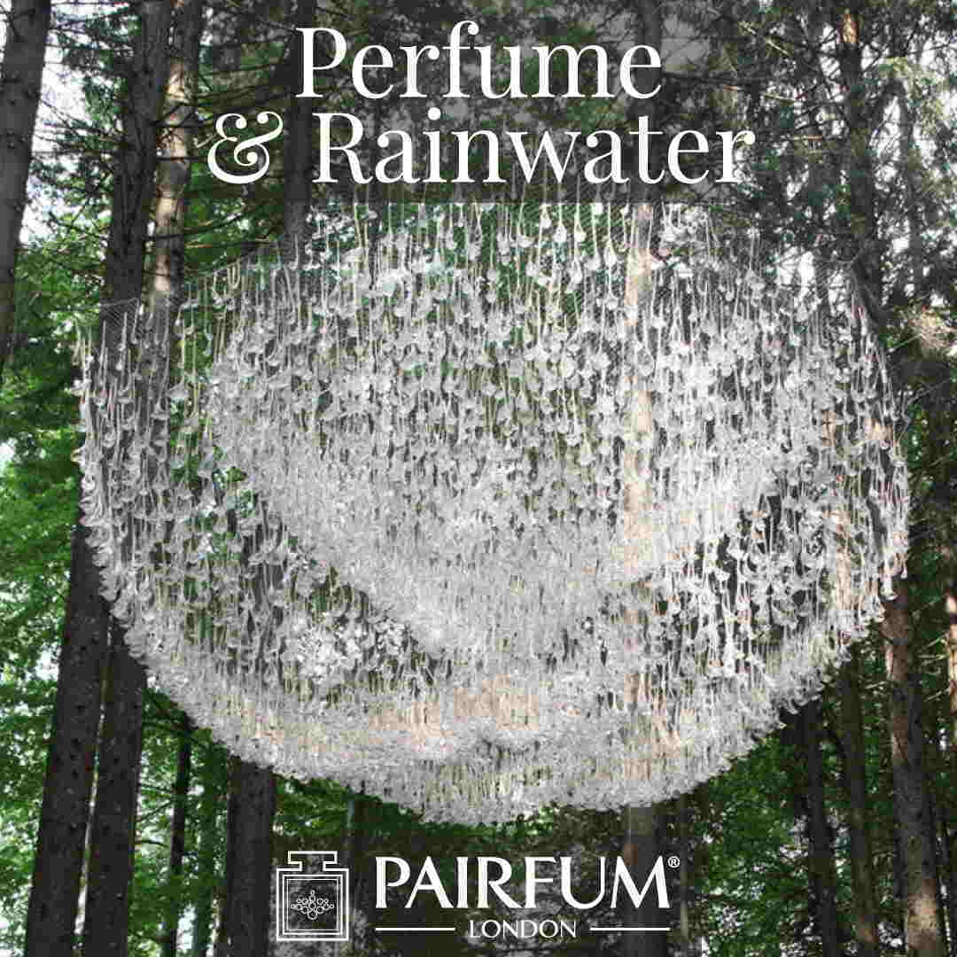 Perfume Rain Water Pine Tree Forest Wood Ozone