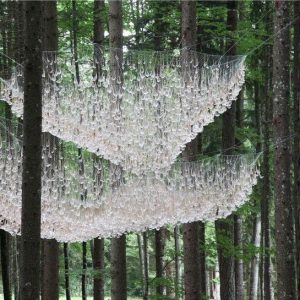 Pine Tree Forest Wood Rain Water Ozone Fragrance 01