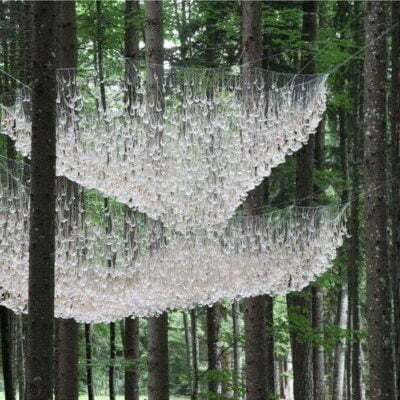 Pine Tree Forest Wood Rain Water Ozone Fragrance 01