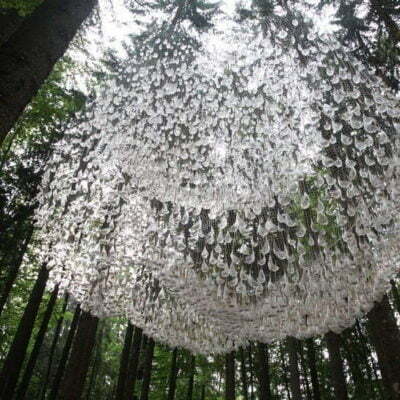 Pine Tree Forest Wood Rain Water Ozone Fragrance 02