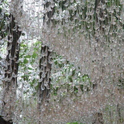 Pine Tree Forest Wood Rain Water Ozone Perfume 07