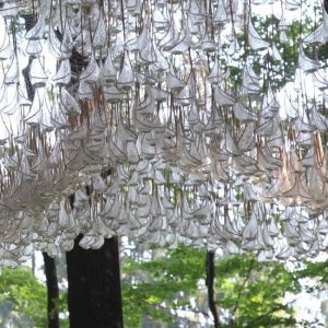 Pine Tree Forest Wood Rain Water Ozone Perfume 11