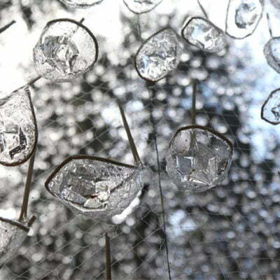 Pine Tree Forest Wood Rain Water Ozone Scent 06