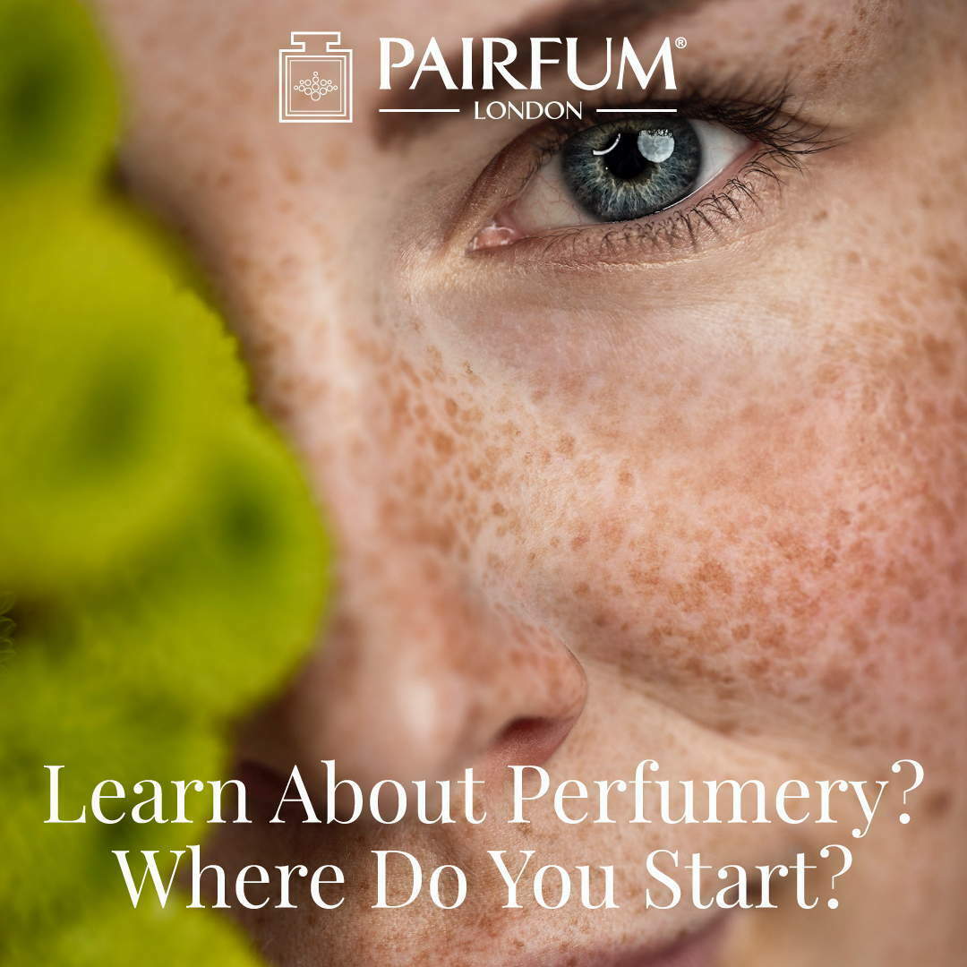 Learn Perfumery Where You Start Pairfum London