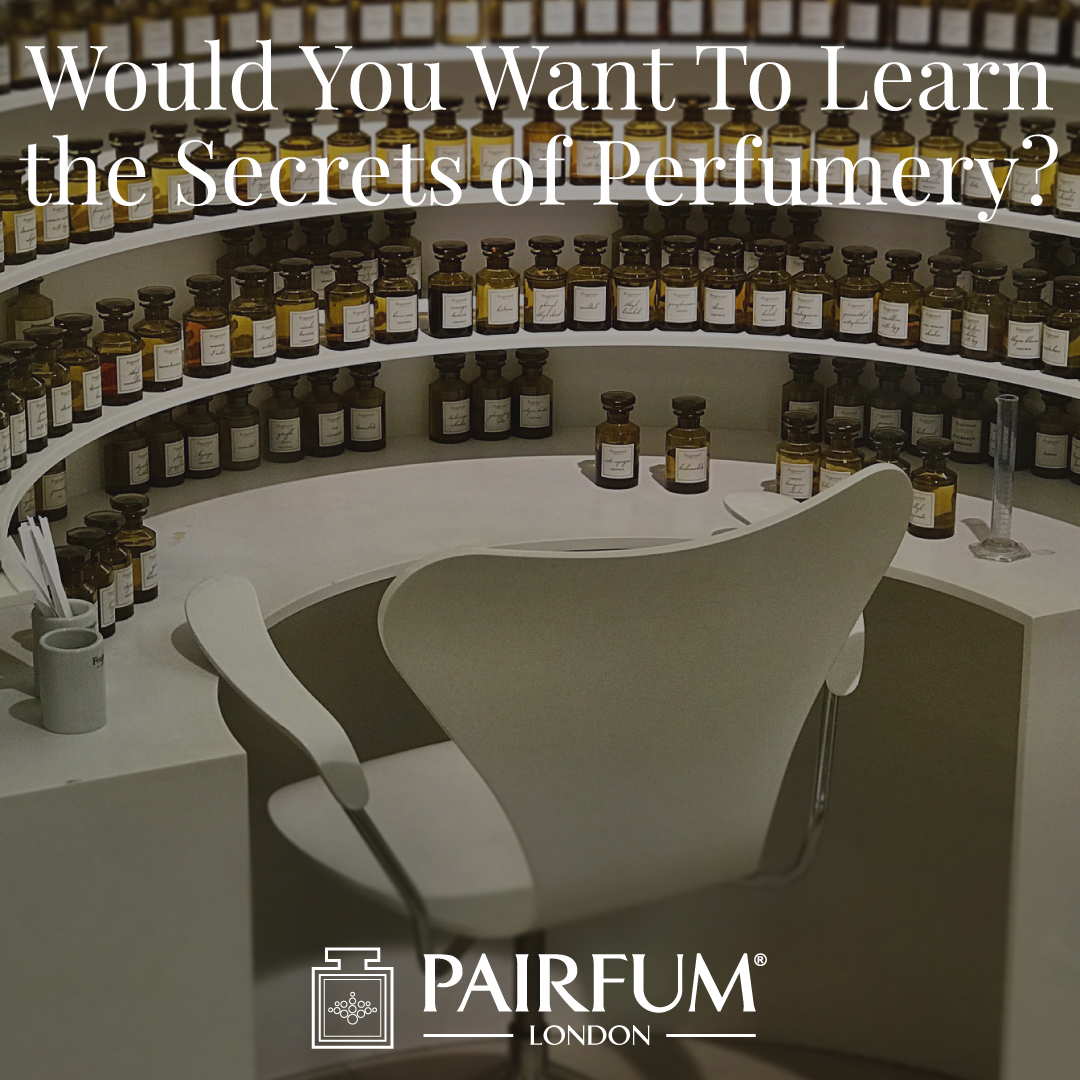 Want Learn Secrets Of Perfumery Pairfum London Fragrance