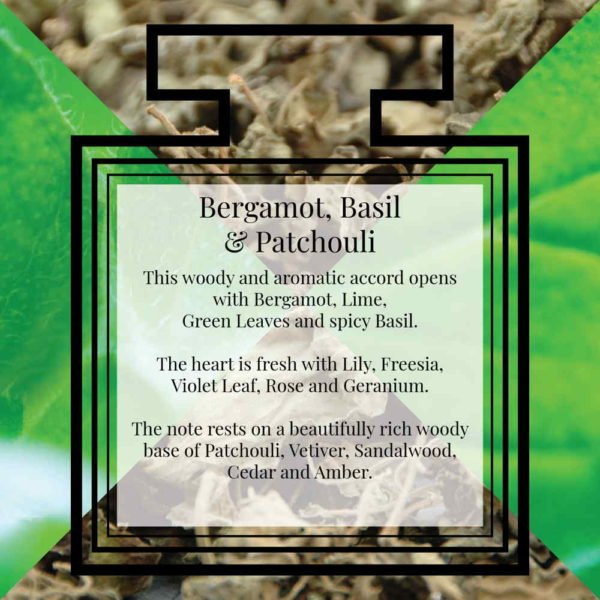 Pairfum Fragrance Bergamot Basil Patchouli Description