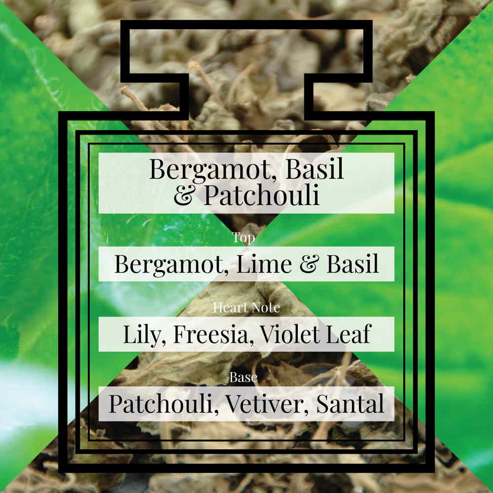 Pairfum Fragrance Bergamot Basil Patchouli Triangle