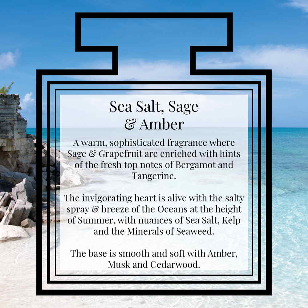 Pairfum Fragrance Sea Salt Sage Amber Description