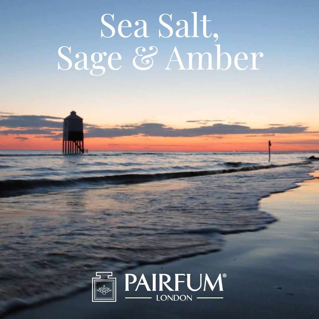 Fragrance Sea Salt Sage Amber Sex On The Beach