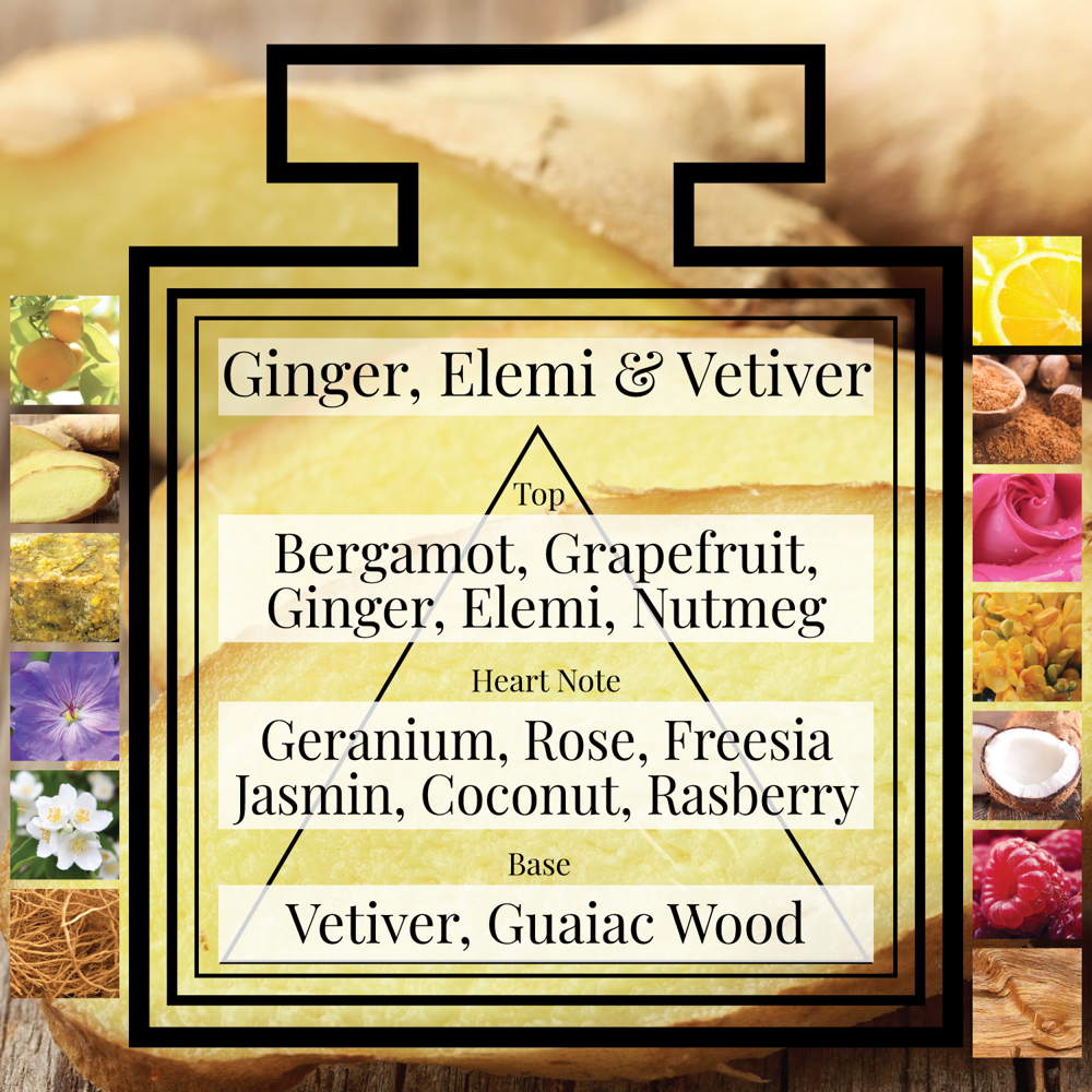 Pairfum Fragrance Ginger Elemi Vetiver Triangle Ingredients