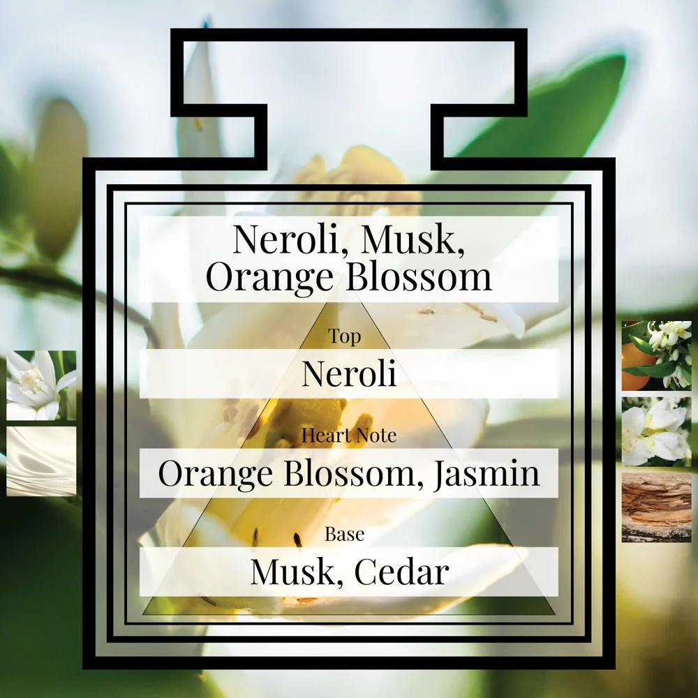 Pairfum Fragrance Neroli Musk Orange Blossom Triangle Ingredients Cologne Perfume