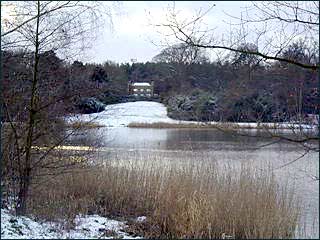 Englefield Green.A Lake In Great Windsor Park