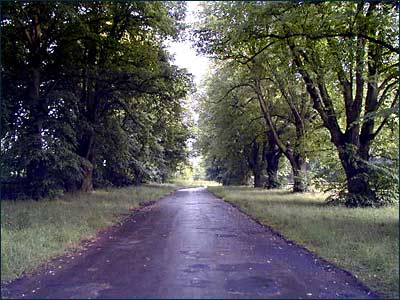 Englefield Green.A Wonderful Drive Along A Country Lane