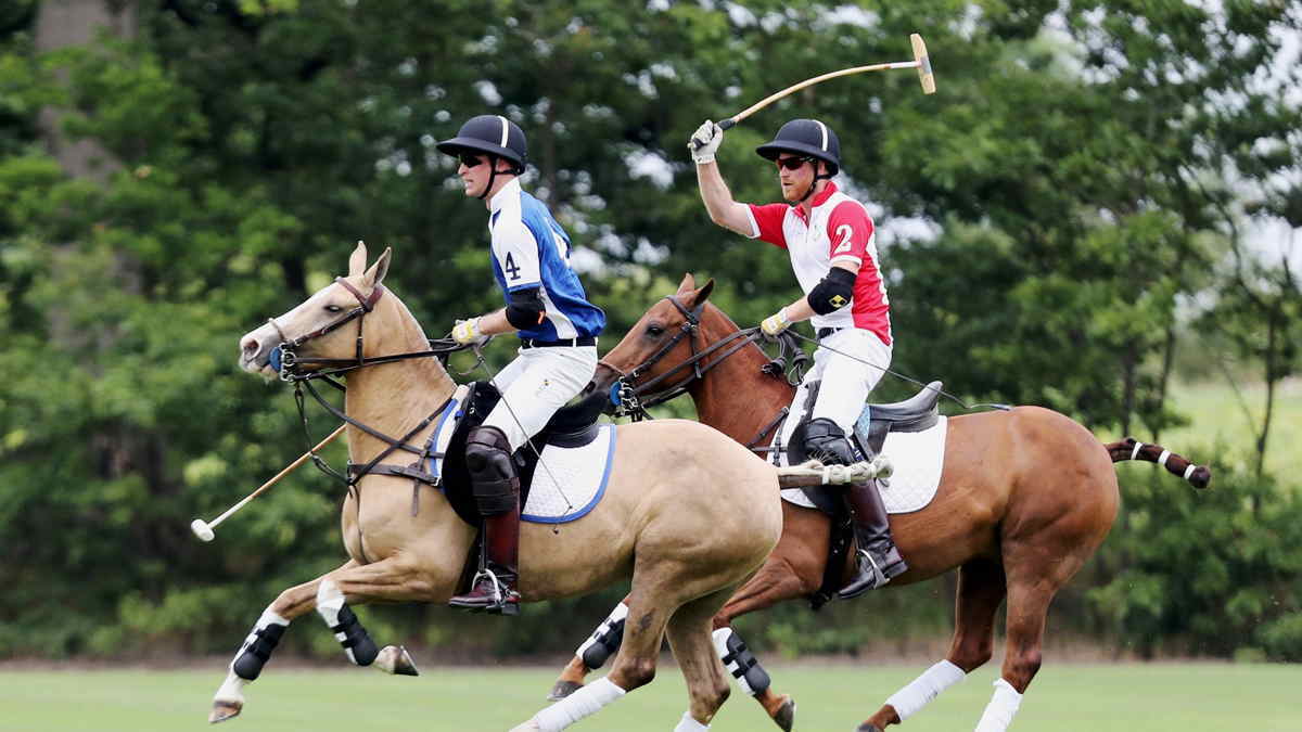 Guards Windsor Great Park Prince Harry William Polo Horse