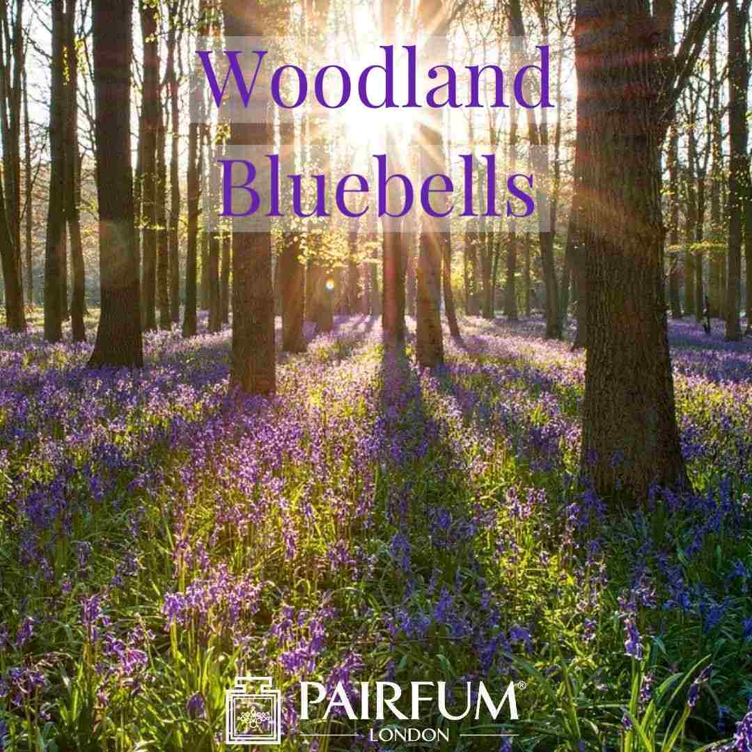 The Perfume the Bluebell Wood PAIRFUM London