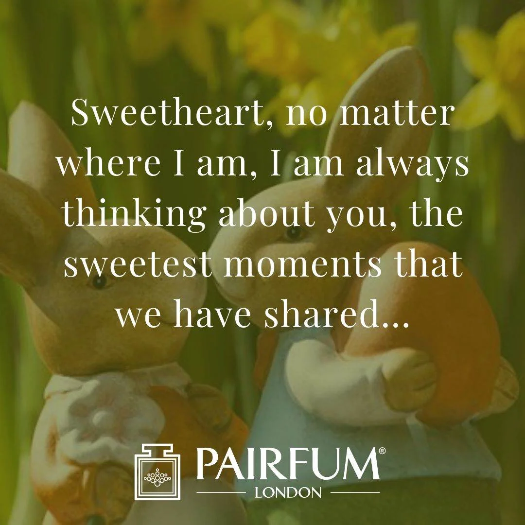 Wife Quote