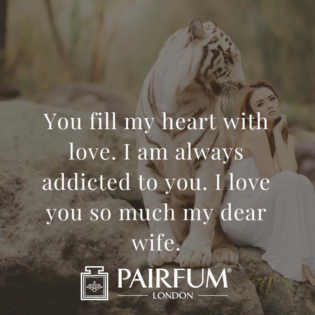 Wife Love Quote