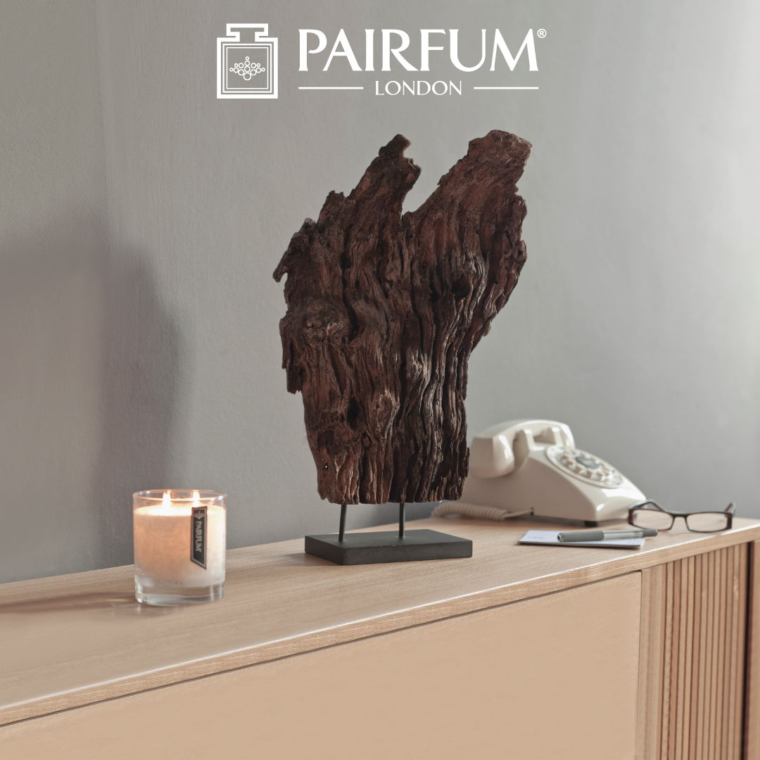 Pairfum Lifestyle Hallway Driftwood Luxury Scented Candle Cedar Noir Perfumed Fragrance