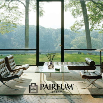 Pairfum Lifestyle Natural Perfume Livingroom Large Reed Diffuser 1 1