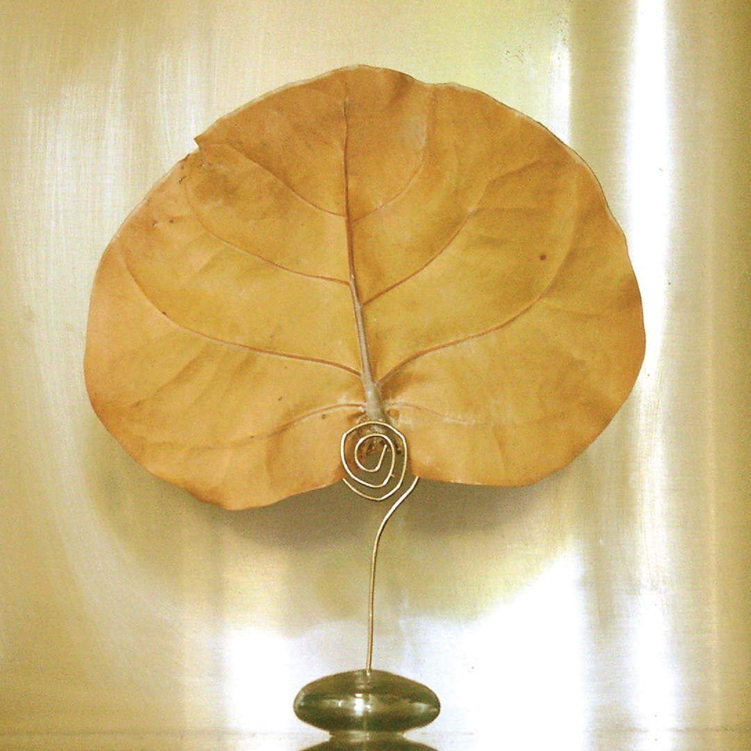 Natural Canopy Infusion Diffuser Glass Orb Stand 1 1