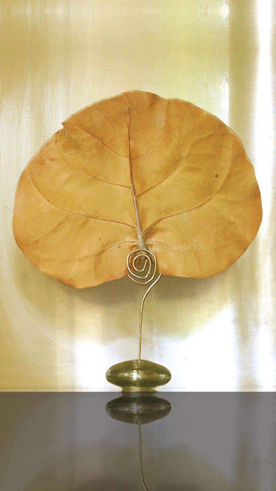 Natural Canopy Infusion Diffuser Glass Orb Stand 9 16