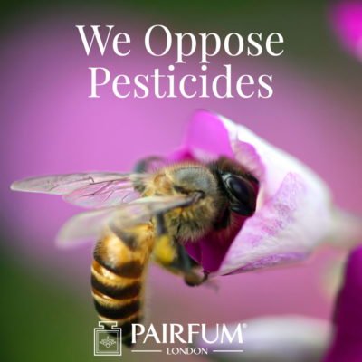Pairfum London Pollinator Opposes Bee Killing Pesticides 1 1
