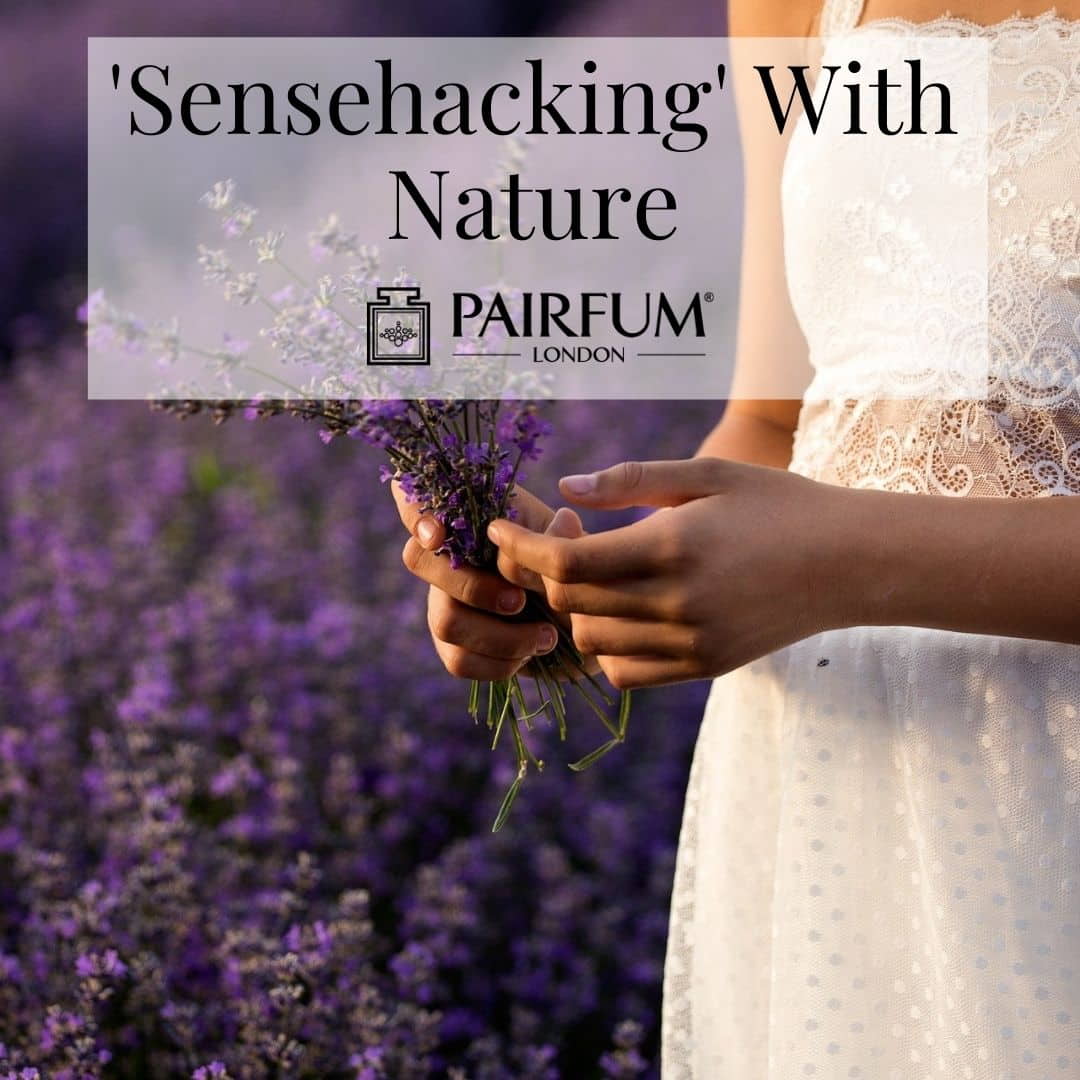 Sensehacking With Nature