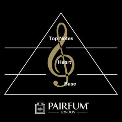 Pairfum Natural Niche Perfume Home Fragrance Olfactory Triangle 1 1