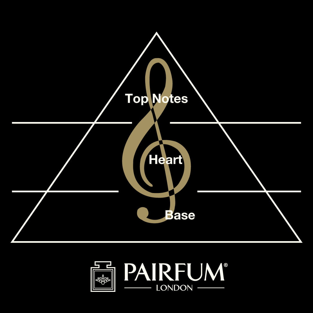 Pairfum Natural Niche Perfume Home Fragrance Olfactory Triangle Key notes in perfume