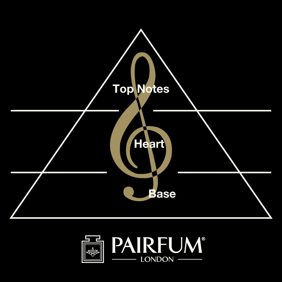Pairfum Natural Niche Perfume Home Fragrance Olfactory Triangle perfume layering