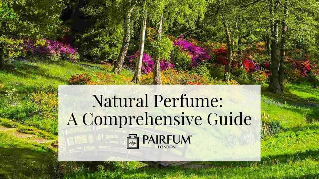 Natural Perfume A Comprehensive Guide Natural Perfume A Comprehensive Guide
