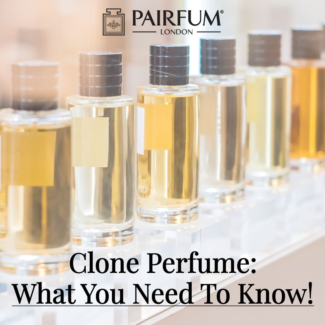 Top Clone Perfumes that are Better than Original