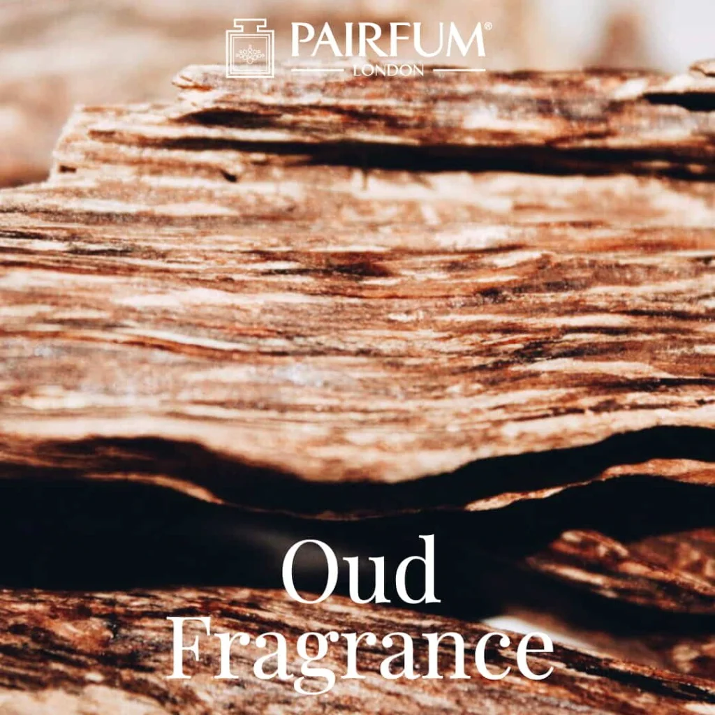 Pairfum London Oud Fragrance Arabic