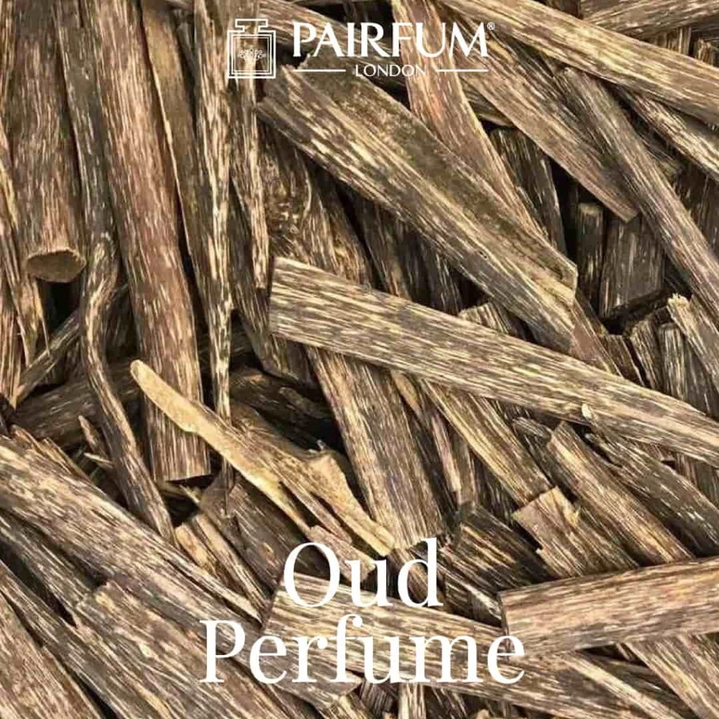 Pairfum London Oud Perfume Arabic Fragrances