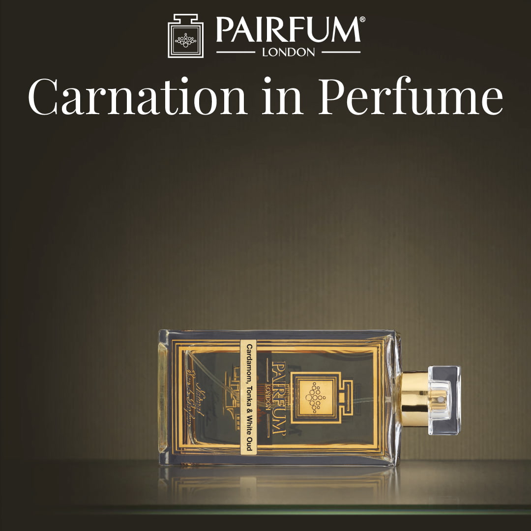 Carnation In Perfume Clove Fragrance Spice 1 1