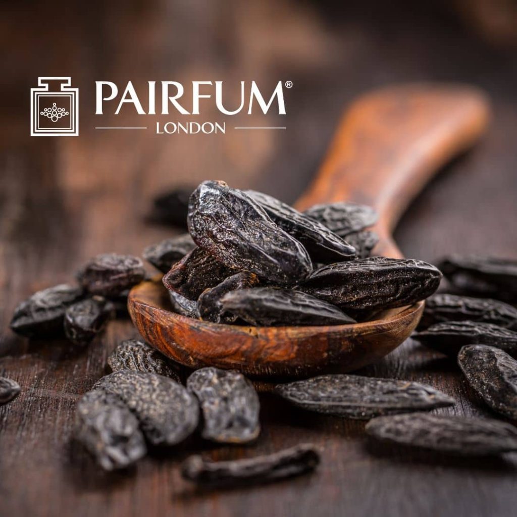 Understanding Fragrance Base Notes by Pairfum London