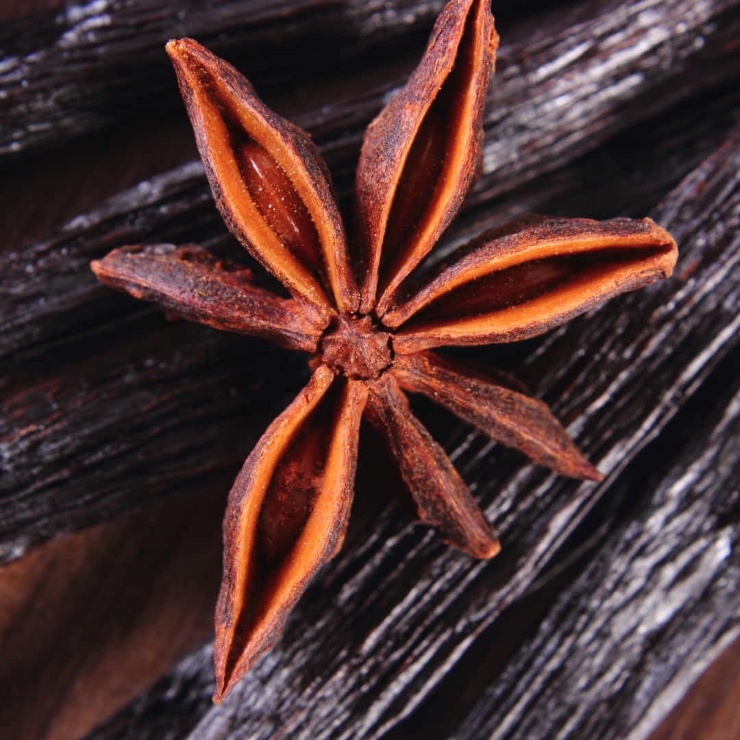 Anise Black Vanilla Wood Oriental Amber Spicy Resinous Balsamic Powdery