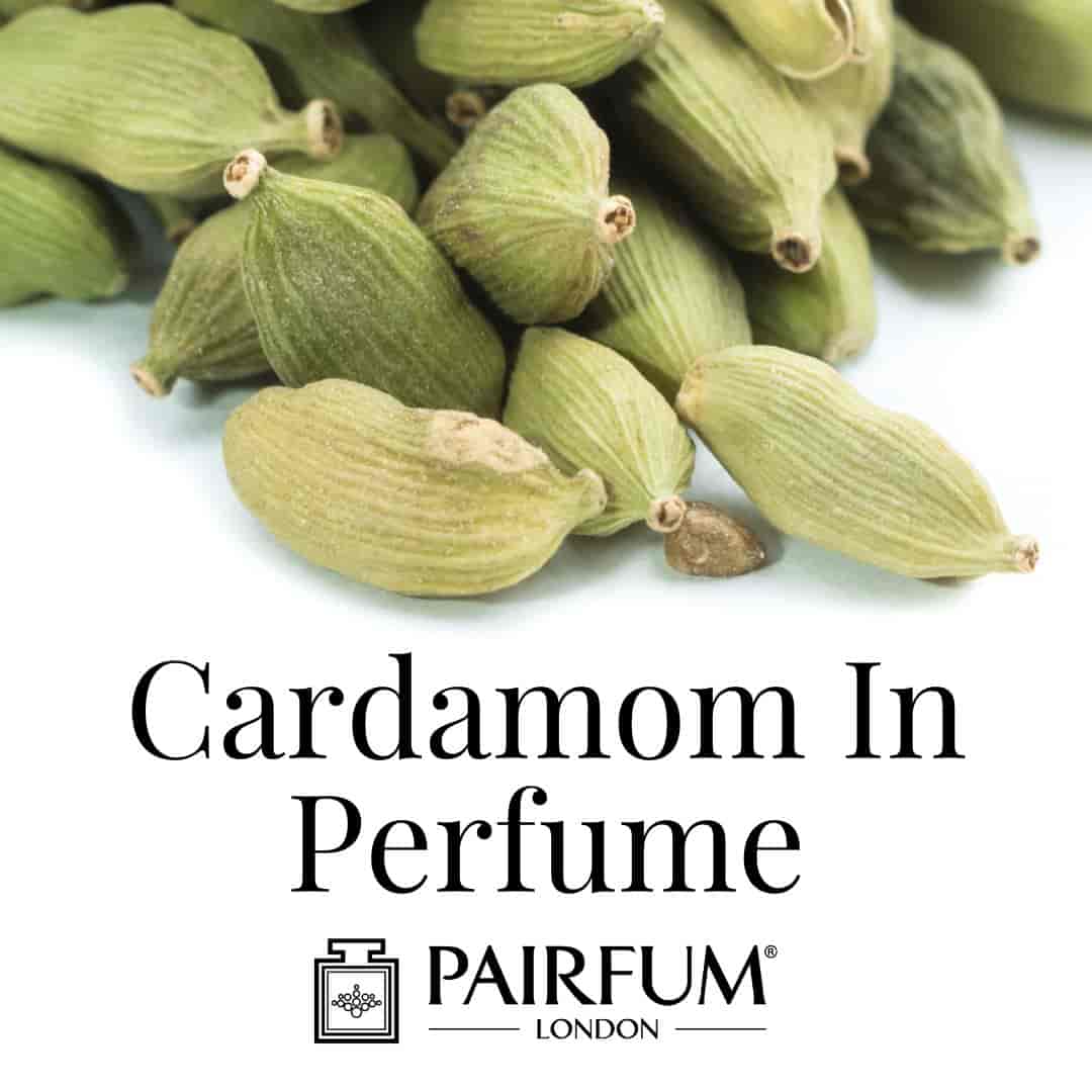 Cardamom in perfume