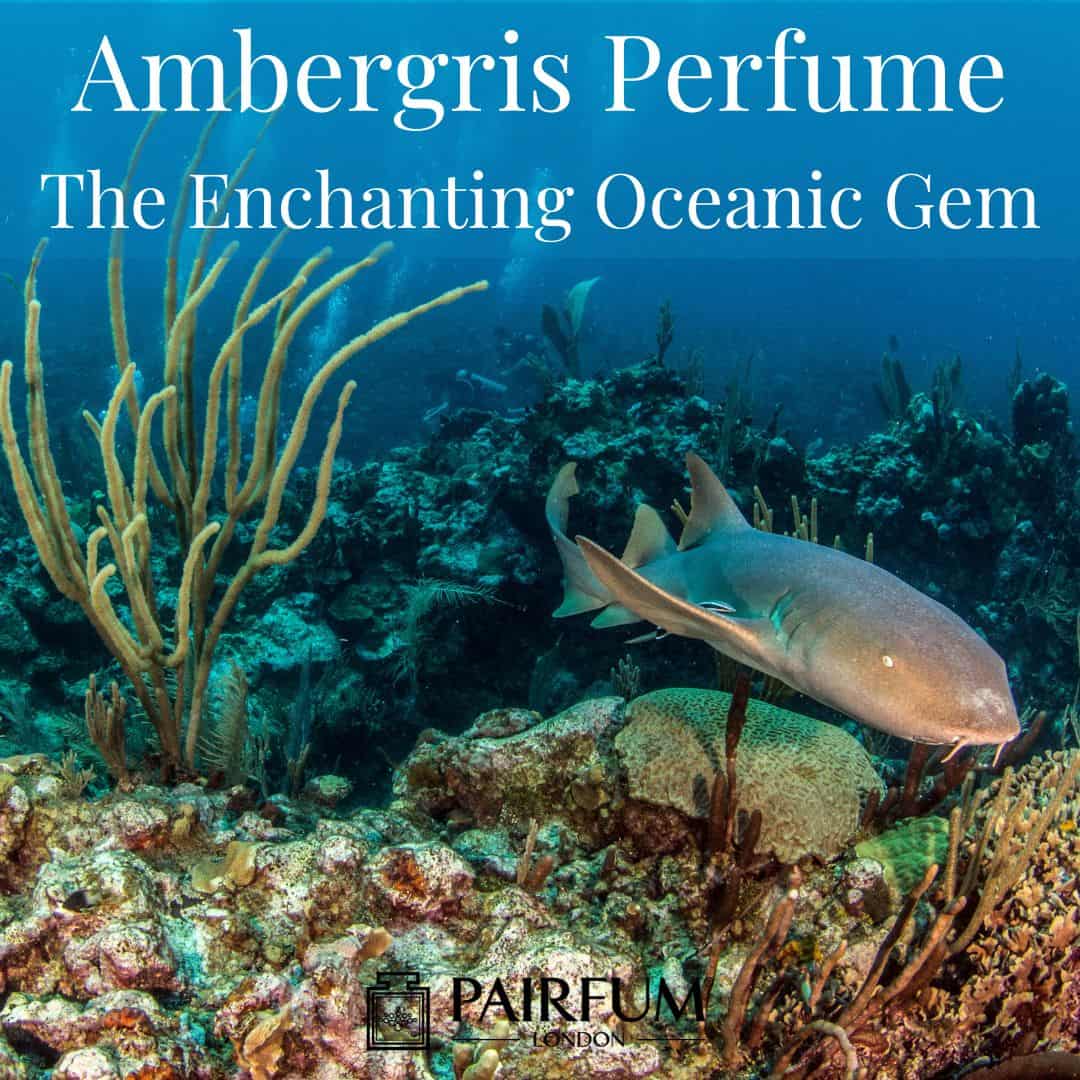 Ambergris Perfume
