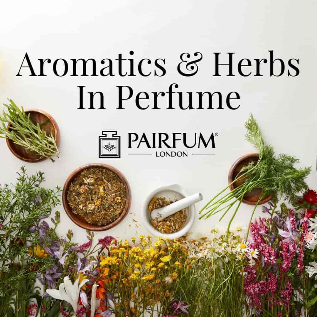 Aromatics Herbs In Perfume