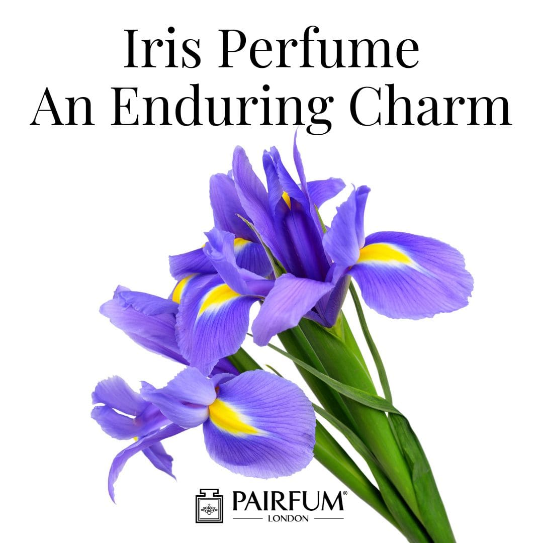 Iris Perfume