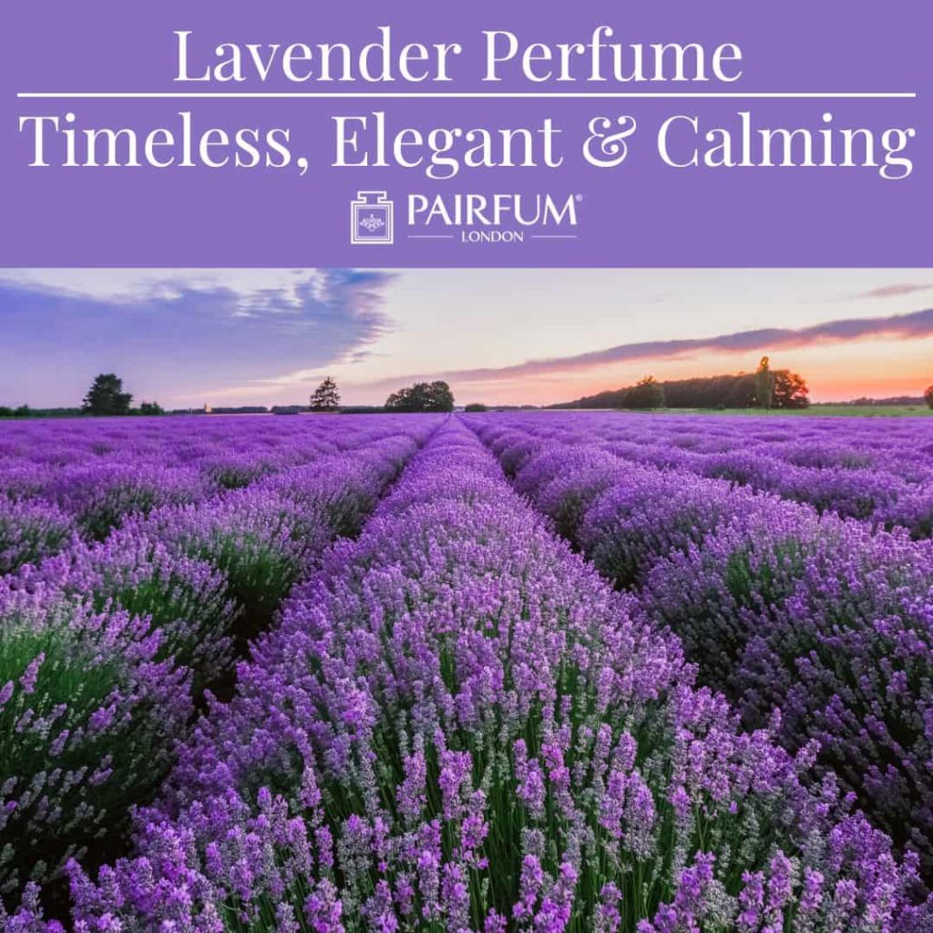 What Are The Different Levels Of Perfume Concentration?