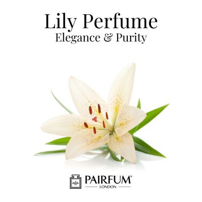 Lily Perfume