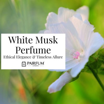 White Musk Perfume